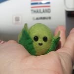 Barry The Brussel Sprout - @barrythebrusslesprout - Instagram