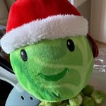 Barry The Sprout - @barry_the_sprout - Instagram