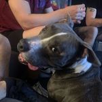 Barry - @barrystafford2018 - Instagram