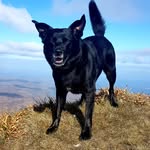 Barrie Barrence Standish - @barriestandish - Instagram