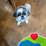 Barry Standish - Facebook