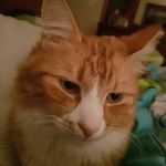 barry stanley - @barrystanley80 - Instagram