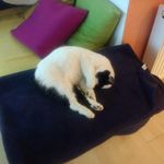 BarryStapleton - @barrystapleton - Instagram