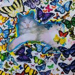 Barry Starkel - @barry.starkel61 - Instagram