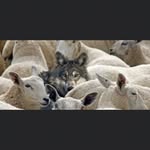 Barry St.Clair - @barryst.clair002 - Instagram