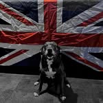 Barry Stebbings - @barrystebbings - Instagram