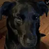 barrystebbins - @barrystebbins - TikTok