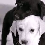 Barry Stefan - @barry.stefan.7545 - Instagram