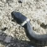 Barry Stefanson - @barrystefanson - Instagram