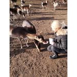Barry Steffens - @barrysteffens - Instagram