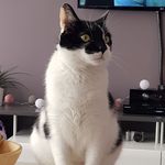 Barry Baumsteiger - @barrybaumsteiger - Instagram
