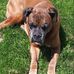 Barry Stradling - Facebook