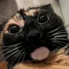 barry_von_strange - @barry_v_strange - TikTok