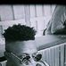 Barry Strong - Facebook