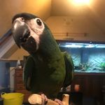 Barry Stroud - @barryxs650 - Instagram