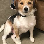 Barry Stroup - @b.stroup55 - Instagram