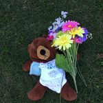 BARRY - @barry.stuffed - Instagram