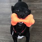 Barry - @barrydoesstuff - Instagram