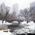 barry suarrz - @barrysuarez78 - Instagram