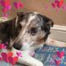 Barry Sugden - Facebook