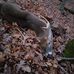 Barry Sumner - Facebook