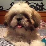 Barry O Sumner - @barry.sumner - Instagram