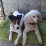Barry Swift - @barry.swift.31 - Instagram
