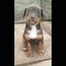 Barry Tadlock - Facebook