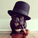 Barry Tamin - @barry.tamin - Instagram