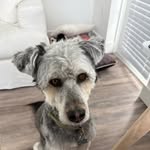 Barry Tartarkin - @barryt2012 - Instagram