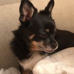 Barry Tasker - @baztask - Instagram