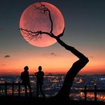 Barry Teter - @barry.teter - Instagram