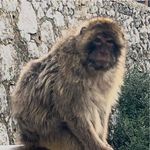 Barry Thacker - @bazthac - Instagram