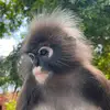 RentapCharlie - @barrythethird - TikTok