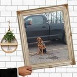 Barry Thorne - @barry.thorne.9 - Instagram