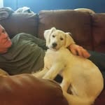 Barry Tice - @barryltice - Instagram
