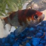 Barry B Tickler 🐟 - @barry_tickler - Instagram