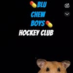 Cammy Cams, Piner, Dirty Mike, Barry Manilow, and Tickle Pickle - @blu.chew.boys.eashl - Instagram