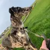 Barry Tindell - @barrytindell - TikTok