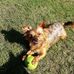 Barry Tipper - Facebook