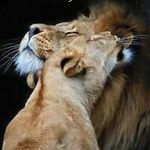 Vicente Barry Torres Whait - @torreswhait - Instagram