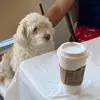 Barry, Max, Tucker - @barry.max.tucker - TikTok