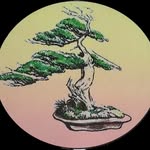 Barry Tucker - @sharimikibonsai - Instagram