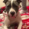 Barry Kounnavong - @barrykounnavong - TikTok