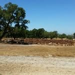 Barry Vos - @barry.vos - Instagram