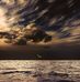 Barry Vosloo - Facebook
