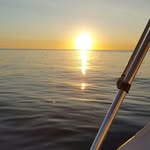 Barry Voss - @thebarryvoss - Instagram