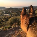 Barry Wakefield - @barry_wakefield - Instagram