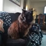 Barry Wakeling - @dougie13wack - Instagram