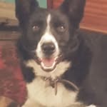 Barry Waldron - @barry.waldron.5 - Instagram